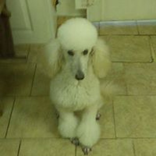 Stream Geasa Leslie Listen to somoride playlist online for free