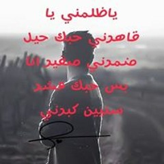Amr Lotfi