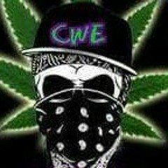 cyco ward ent.