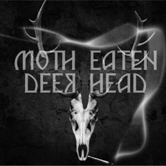 MOTH-EATEN DEER HEAD