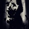 TimelessShadow