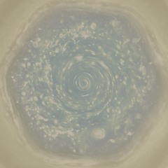 Bylusa