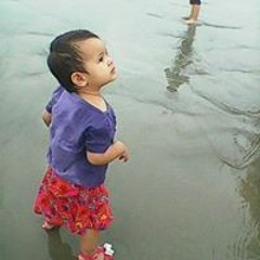 sajida