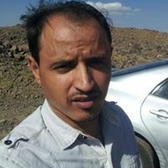 محمد العلائي