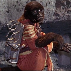 TARAMAX - Aire de jeu