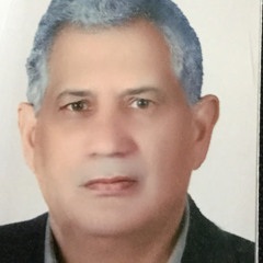 Labib Elbayoumy