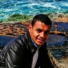 حسن النمر