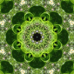 Susie Brillheart Buckley