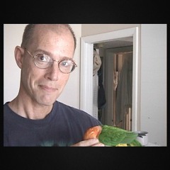 SONGS FROM THE SKIES