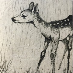 FAWN