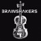 Brainshakers