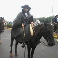 Wagner Goulart