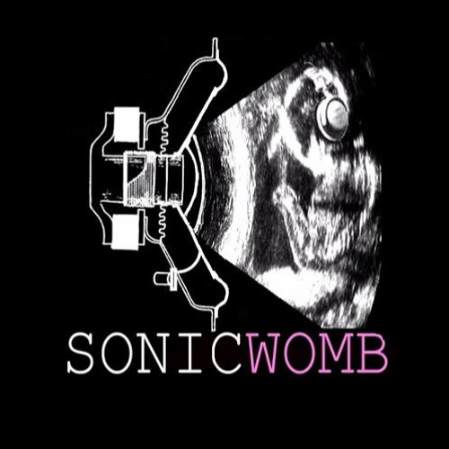 SONICWOMB’s avatar