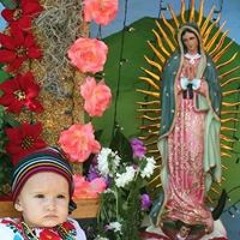 Gerardo Alonzo Ortiz