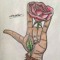 Daiy Flor Daiy