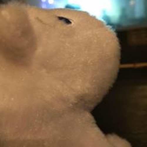 池田梨乃 S Stream 池田梨乃 S Stream