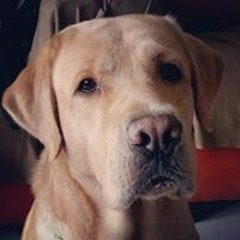 OnanJehuJimenezValencia