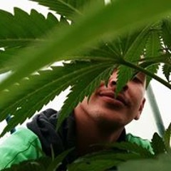 Javier Tinta Alejandro