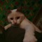 user971204827