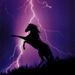 SilentThunder09