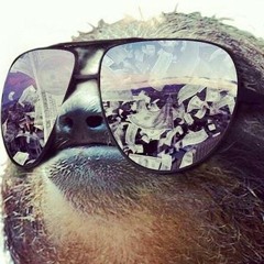 ThePiggyMonkey