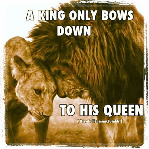 king and queen lion tumblr