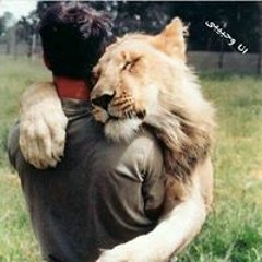 Mohamed Esmail Hady