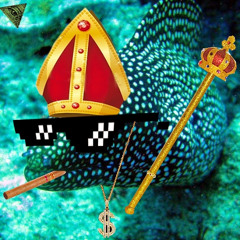 La Murène BlingBling