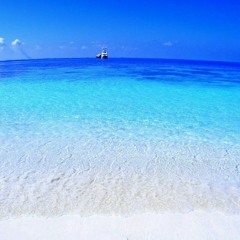 turquoisewaters