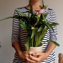 Aleksandra Dorogoichenko