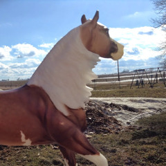 Breyergal Isabel