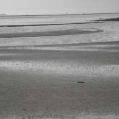 Quinty Van der Velde