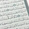 آلاء ربيع الشال