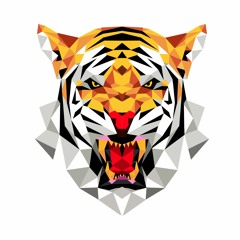 DopeTiger Music