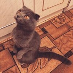 Космический Юлььь