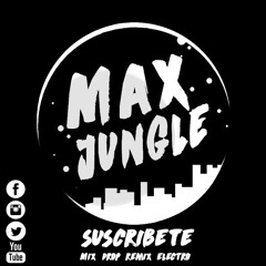 Max Jungle - RHYNO (Original Mix)