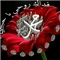 Marwa Nashaat