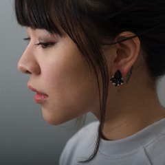 Hoài Anh Rau Sạch