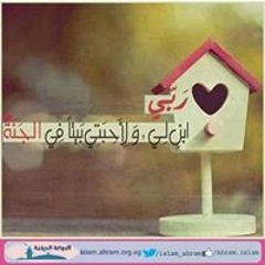 Mohamed Abotalb