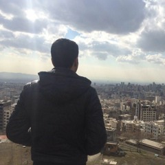 Mohamad Sadegh Amini