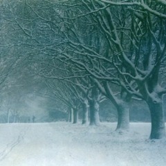 Sleepwalkers' Society