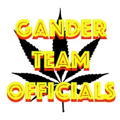 The Gander Team