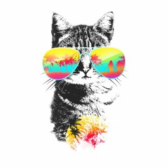 Cat Loves Coffee