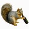 DerpySquirrelProductions