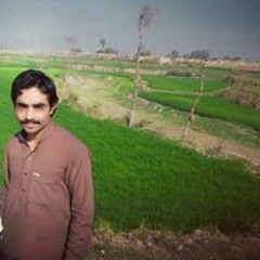 Haseeb Jani