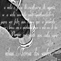 Vilson Teresa Dos Santos