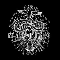 SILVER MACHINE