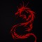 Shadow Warrior 01