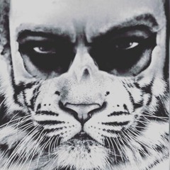 IlDirectorX