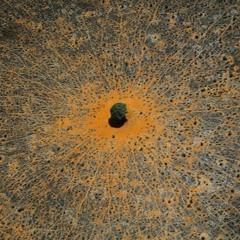 Ralph Thomas Poyer III